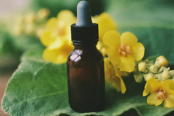 Organic Mullein Leaf Extract - Herbal Tincture for Lung, Respiratory & Digestive Wellness - Natural Sleep Aid