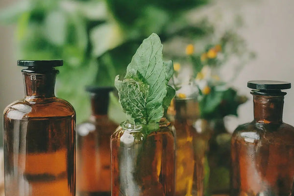 Discover the Power of Nature: How Herbal Extracts Promote Holistic Wellness