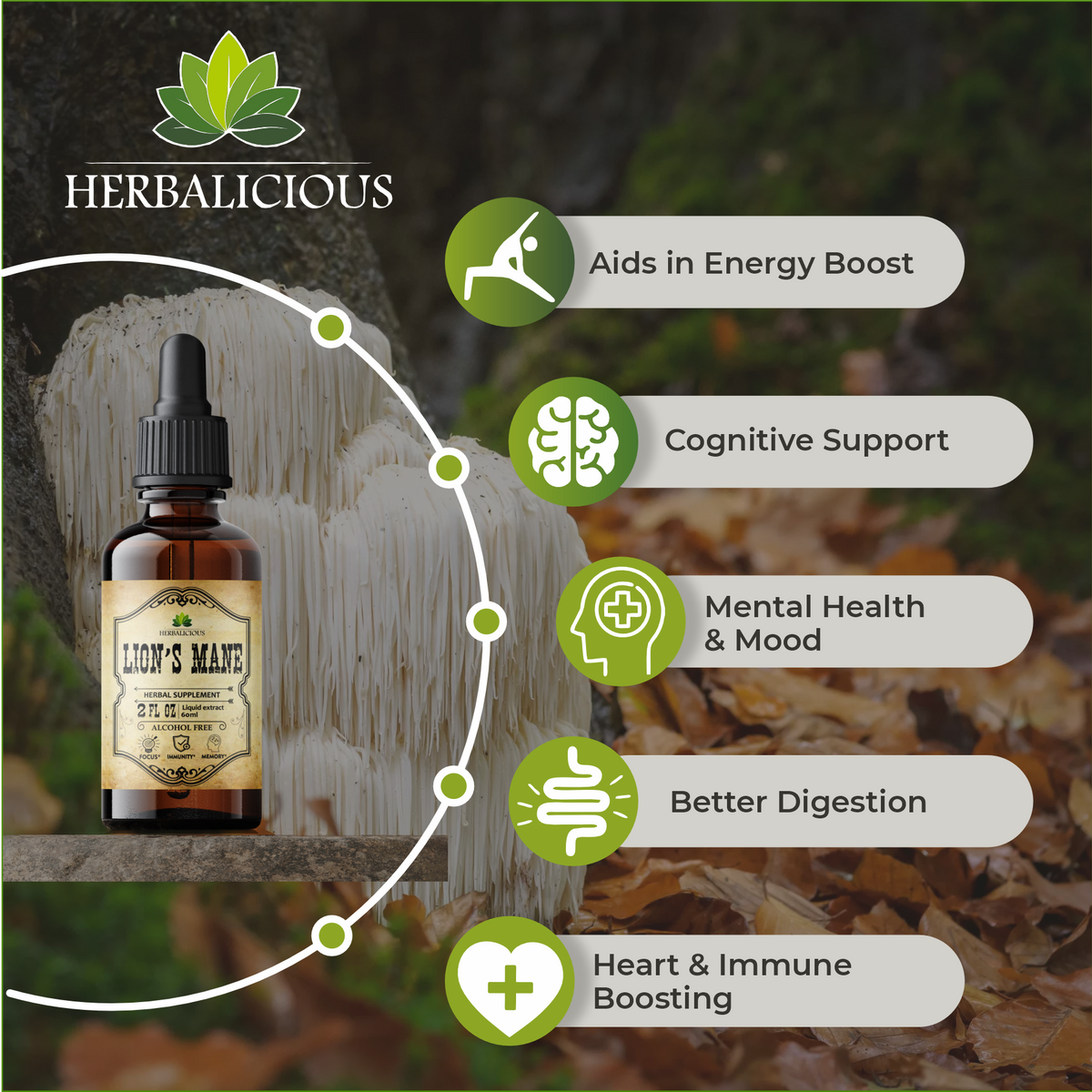 Lion’s Mane Liquid Mushroom Supplement – Premium Mushroom Extract Brain Supplement for Memory Focus and Nerve Support – 2oz