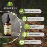 Lion’s Mane Liquid Mushroom Supplement – Premium Mushroom Extract Brain Supplement for Memory Focus and Nerve Support – 2oz