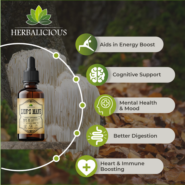 Lion’s Mane Liquid Mushroom Supplement – Premium Mushroom Extract Brain Supplement for Memory Focus and Nerve Support – 2oz