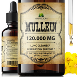 Organic Mullein Leaf Extract - Herbal Tincture - 4oz Bottle for Lung, Respiratory, Digestive Wellness, and Natural Sleep Aid