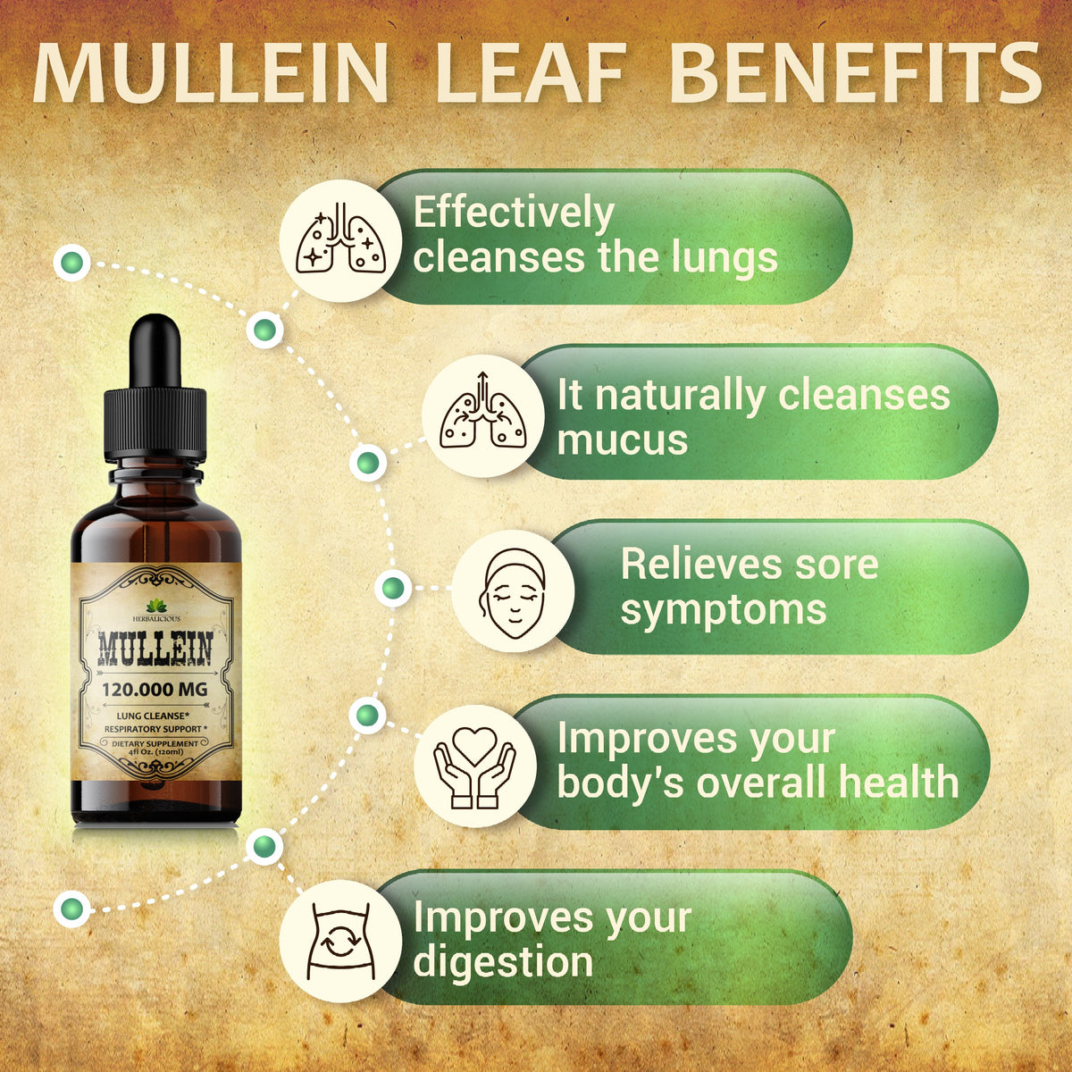 Organic Mullein Leaf Extract - Herbal Tincture - 4oz Bottle for Lung, Respiratory, Digestive Wellness, and Natural Sleep Aid