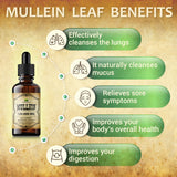 Organic Mullein Leaf Extract - Herbal Tincture - 4oz Bottle for Lung, Respiratory, Digestive Wellness, and Natural Sleep Aid