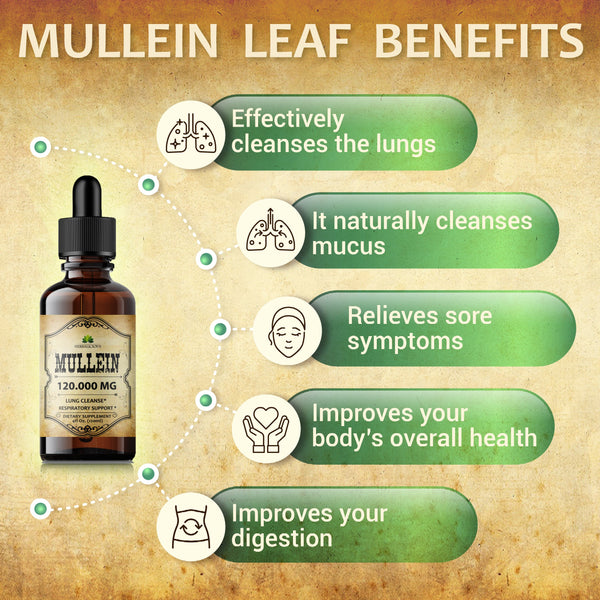 Organic Mullein Leaf Extract - Herbal Tincture - 4oz Bottle for Lung, Respiratory, Digestive Wellness, and Natural Sleep Aid