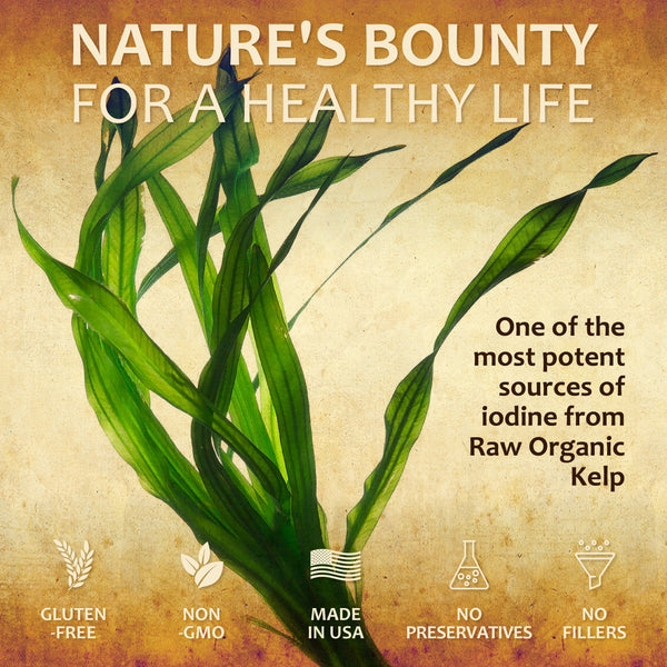 Natural Iodine Extract - Sea Kelp - Drops for Thyroid Function Support, Digestion, Energy Boost4oz Bottle