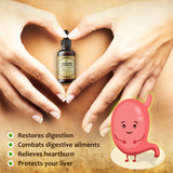 Licorice Root Extract - Glycyrrhiza Glabra - Organic Herbal Supplement for Digestion Restore Respiratory Health Fatigue & Immunity Support Vegan Gluten Free Liquid Tincture 4Fl Oz