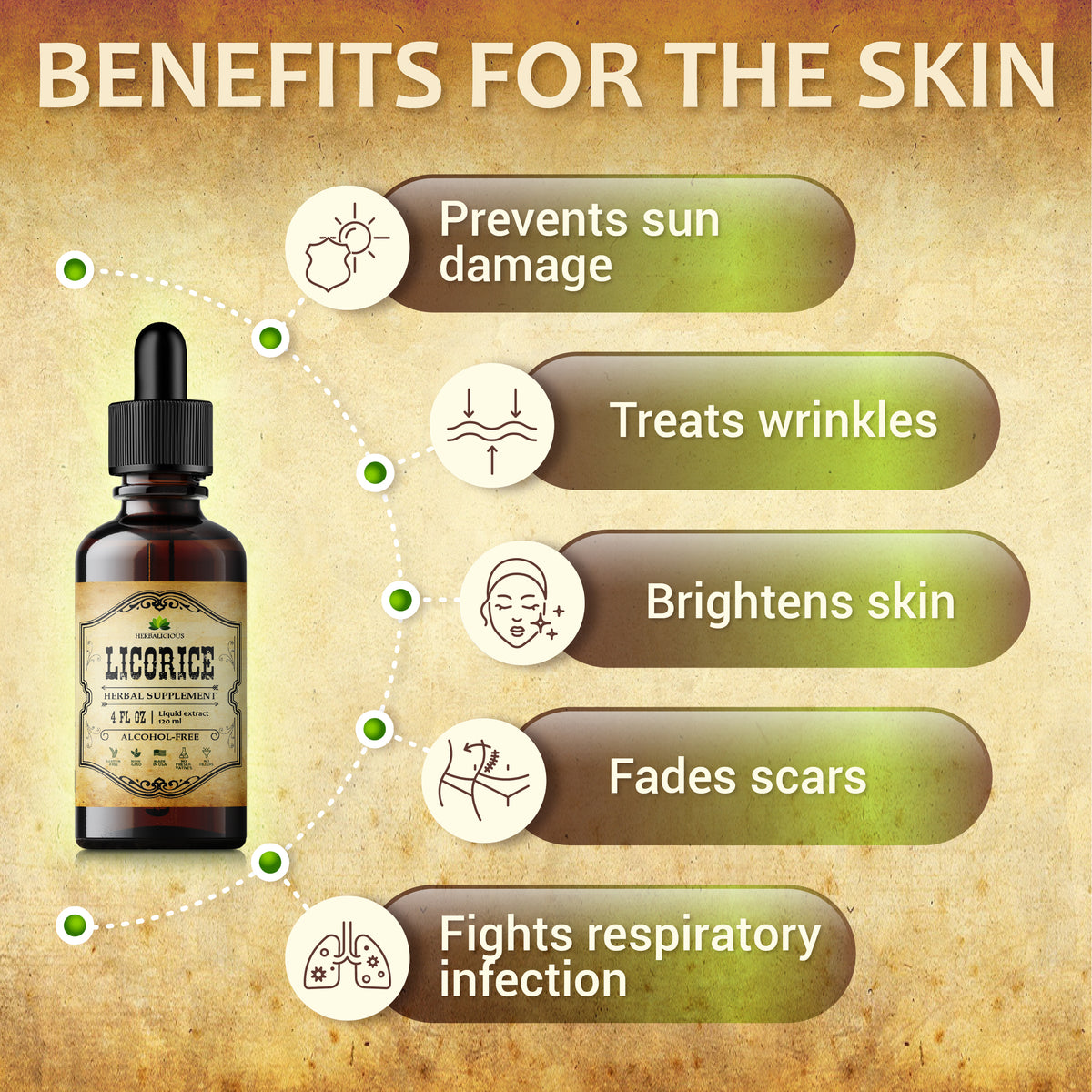 Licorice Root Extract - Glycyrrhiza Glabra - Organic Herbal Supplement for Digestion Restore Respiratory Health Fatigue & Immunity Support Vegan Gluten Free Liquid Tincture 4Fl Oz