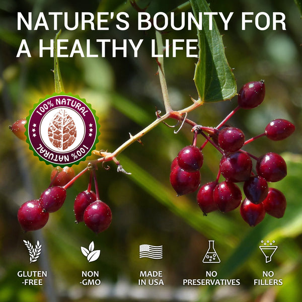 Sarsaparilla Root Extract 2oz - Smilax Ornata Herb Supplement, Non-GMO Support for Immunity, Skin, Kidney Function, Liver Wellness, Fillers