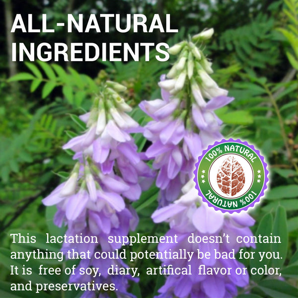 Goat’s Rue 100 Capsules - Natural Galega Officinalis for Breast Feeding - Breastmilk Production Food Supplement Support