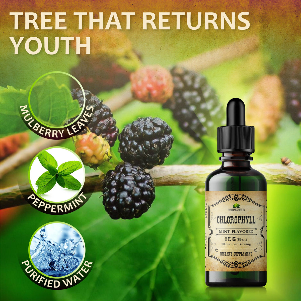 Liquid Chlorophyll Drops Organic Sodium Copper Chlorophyllin Extract Cleanse & Support Your Immune System, Energy Naturally 2oz