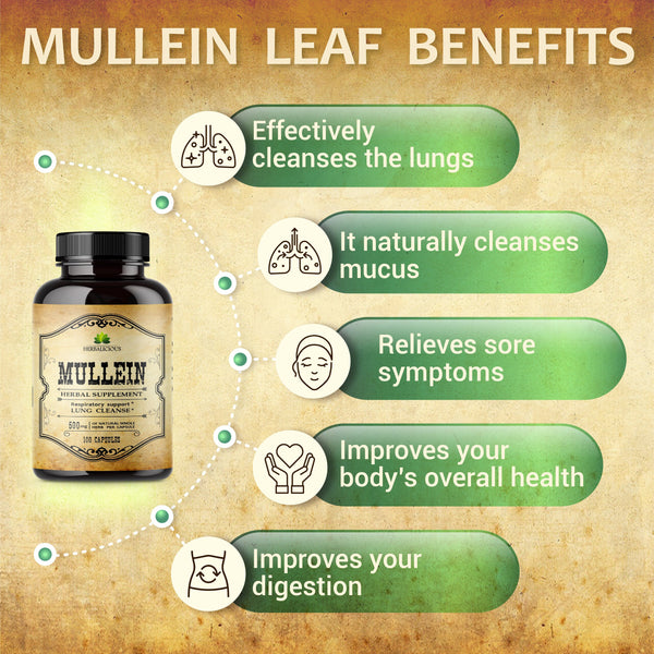 Breathe Easy & Digest Comfortably: Organic Mullein Capsules (100 Capsules)