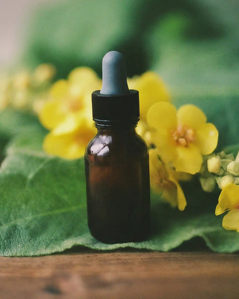 Organic Mullein Leaf Extract - Herbal Tincture for Lung, Respiratory & Digestive Wellness - Natural Sleep Aid