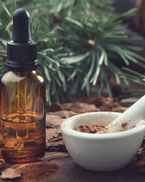 The benefits of Cinchona bark