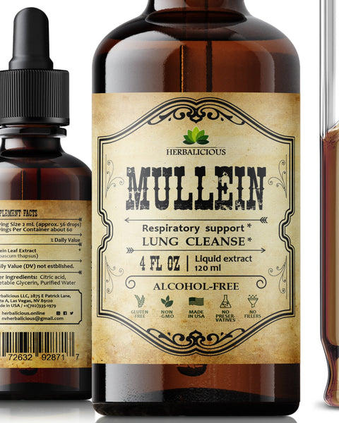 The benefits of Mullein leaf