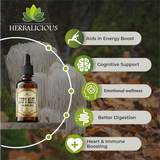 Boost Brainpower & Calm with Lion's Mane Mushroom Tincture (4oz) - Natural Memory & Focus Support