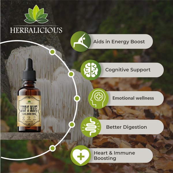 Boost Brainpower & Calm with Lion's Mane Mushroom Tincture (4oz) - Natural Memory & Focus Support