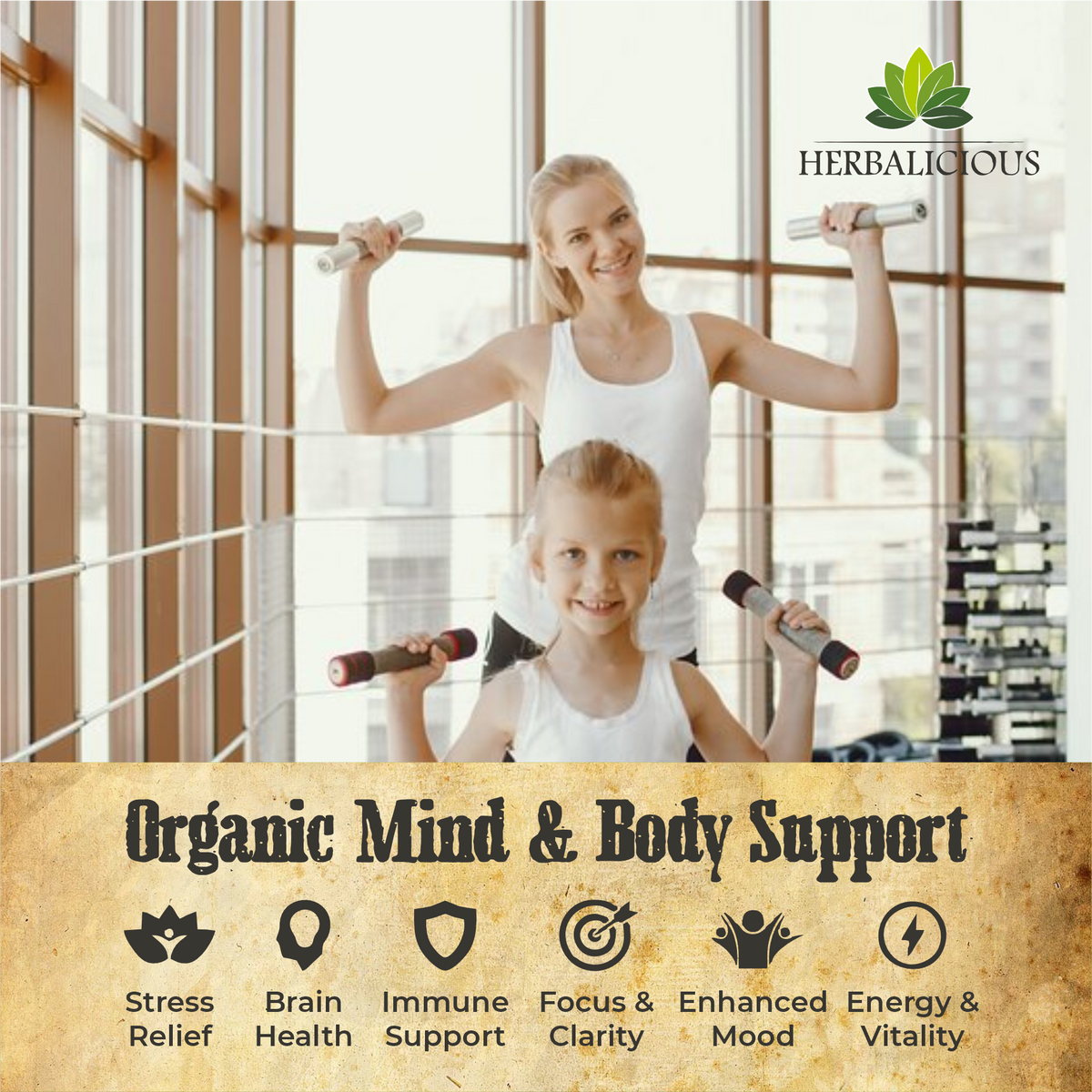 Lion’s Mane Liquid Mushroom Supplement – Premium Mushroom Extract Brain Supplement for Memory Focus and Nerve Support – 2oz