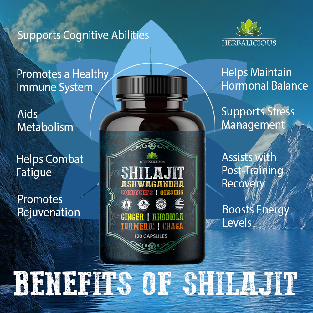 Shilajit Capsules with Ashwagandha, Cordyceps, Ginseng, Rhodiola, Turmeric, Chaga & Ginger – 8-in-1
