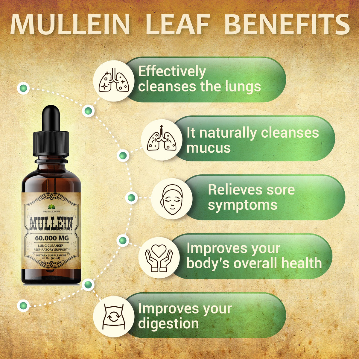 Mullein Leaf Extract - Verbascum Thapsus - Herbal Tincture Promoting Lung, Respiratory & Digestive Wellness - Natural Sleep Support 2oz