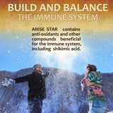 Star Anise Immune Supplement Capsules – Herbal Formula for immune system support and wellness.