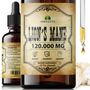Boost Brainpower & Calm with Lion's Mane Mushroom Tincture (4oz) - Natural Memory & Focus Support