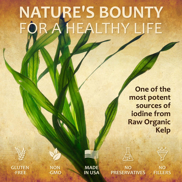 Natural Iodine Extract for Thyroid Support – Liquid Formula with raw organic kelp and gluten-free label.