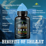 Shilajit Capsules with Ashwagandha, Cordyceps, Ginseng, Rhodiola, Turmeric, Chaga & Ginger – 8-in-1 on scenic background.