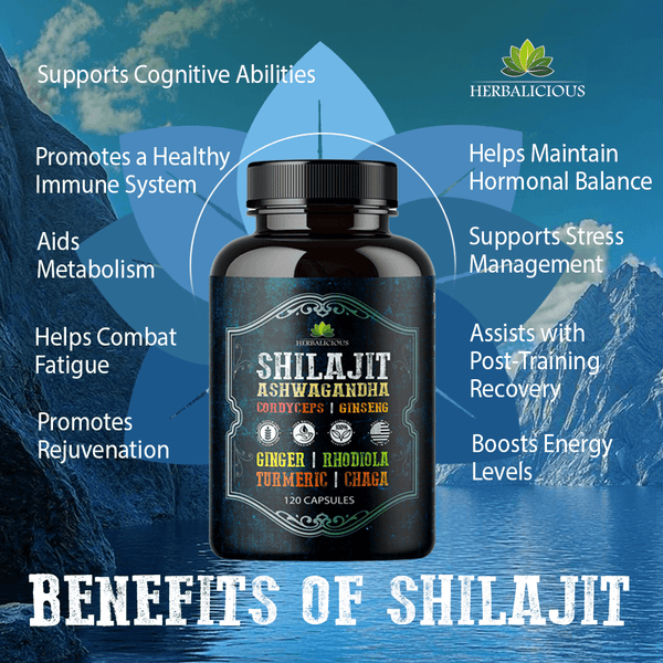 Shilajit Capsules with Ashwagandha, Cordyceps, Ginseng, Rhodiola, Turmeric, Chaga & Ginger – 8-in-1 on scenic background.