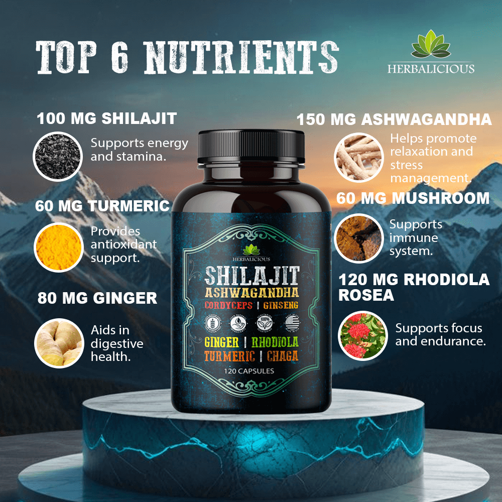 Shilajit Capsules with Ashwagandha, Cordyceps, Ginseng, Rhodiola, Turmeric, Chaga & Ginger – 8-in-1 Herbalicious Supplement