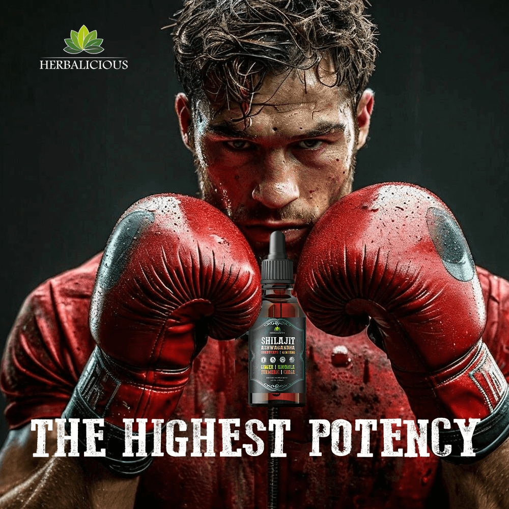 Shilajit Liquid Supplement with Ashwagandha, Cordyceps, Ginseng, Rhodiola, Turmeric, Chaga & Ginger – 8-in-1 Adaptogenic Herbal Drops for Energy, Stress Relief, Focus & Immune Support 4 fl oz in a boxing theme.