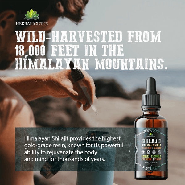 Adaptogenic liquid supplement featuring Himalayan Shilajit extract for body and mind rejuvenation.