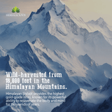 Shilajit Capsules with Ashwagandha, Cordyceps, Ginseng, Rhodiola, Turmeric, Chaga & Ginger – 8-in-1 in Himalayan Mountains.