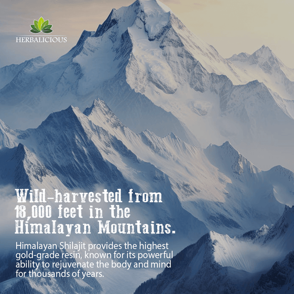 Shilajit Capsules with Ashwagandha, Cordyceps, Ginseng, Rhodiola, Turmeric, Chaga & Ginger – 8-in-1 in Himalayan Mountains.