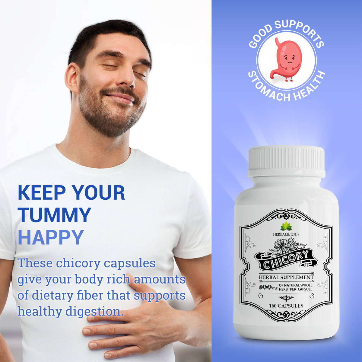 Chicory Root Supplement  Inulin Powder Prebiotic Pills  - Natural Herbal Support for Immune System, Appetite Control, Heart Health