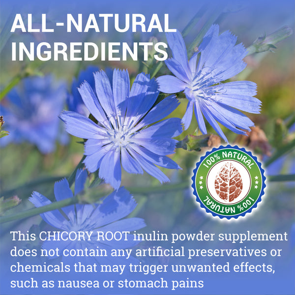 Chicory Root Supplement  Inulin Powder Prebiotic Pills  - Natural Herbal Support for Immune System, Appetite Control, Heart Health