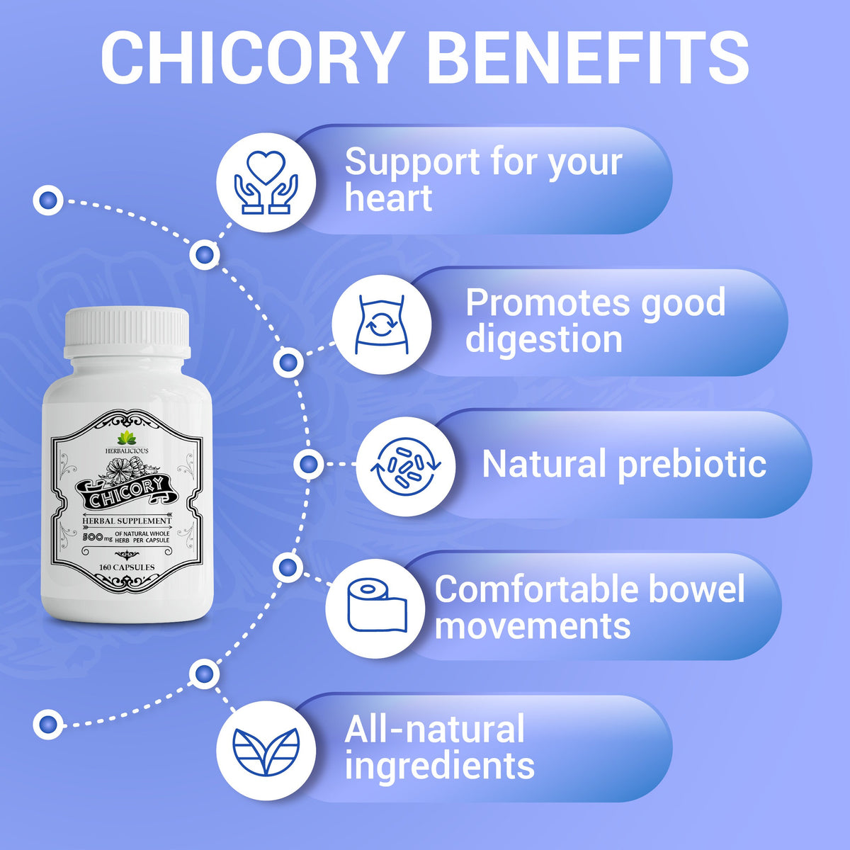 Chicory Root Supplement  Inulin Powder Prebiotic Pills  - Natural Herbal Support for Immune System, Appetite Control, Heart Health
