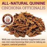 Fight Nighttime Leg Cramps Naturally with Cinchona Officinalis (160 Capsules) - Sleep Sound & Wake Refreshed