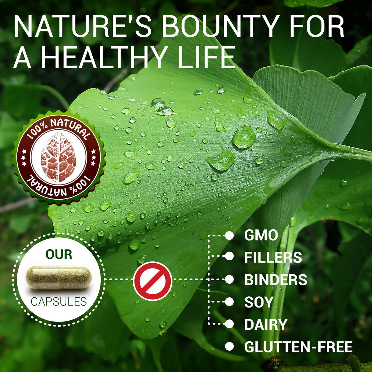 Ginkgo Biloba 100 Capsules - Daily Natural Nootropic Supplement to Support Mental Clarity, Focus, Memory Boost, Stress Relief, Heart & Brain