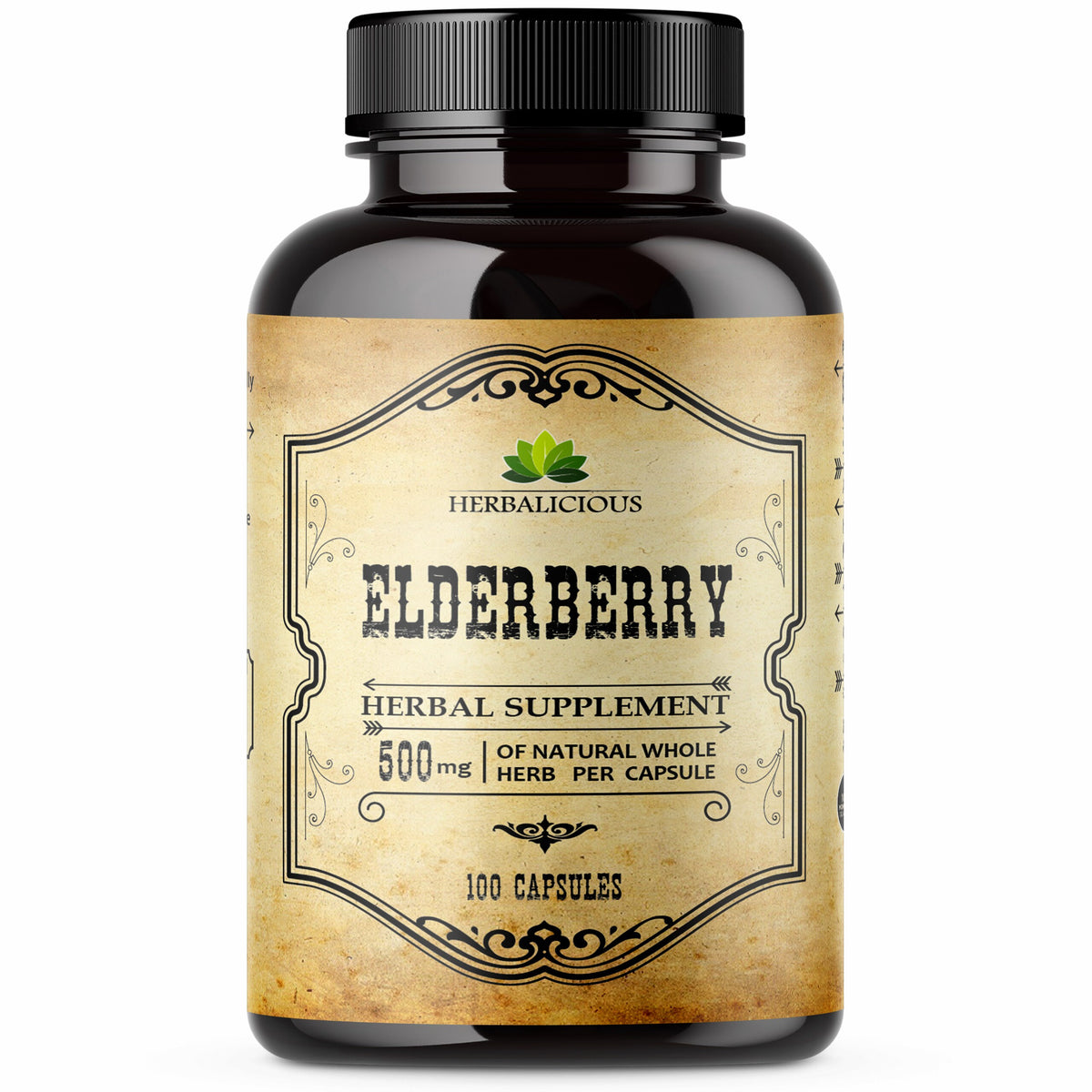 Elderberry Capsules for Immune Support – Herbal Supplement 500mg 100 Capsules