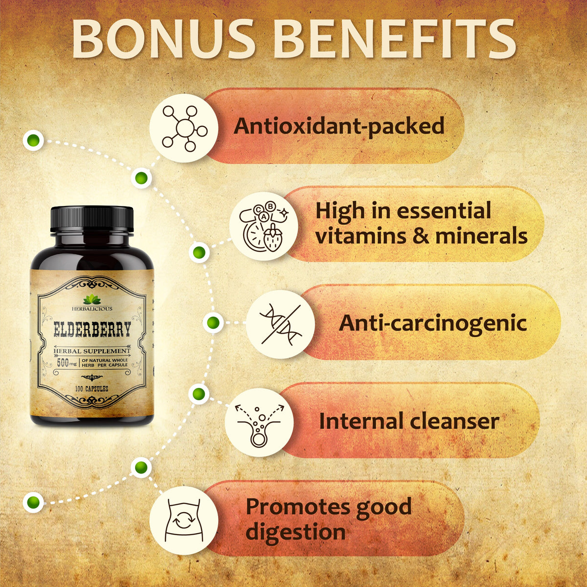 Elderberry Capsules for Immune Support – Herbal Supplement with bonus benefits including antioxidants and digestive support.