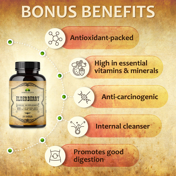 Elderberry Capsules for Immune Support – Herbal Supplement with bonus benefits including antioxidants and digestive support.