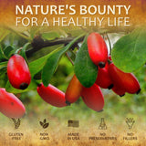 Berberine Supplement  100 Capsules Berberine HCL Dietary Supplement for Men and Women  Ideal for Immune Support, Heart, Cholesterol Levels