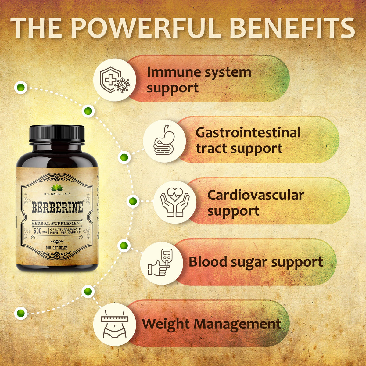 Berberine Supplement  100 Capsules Berberine HCL Dietary Supplement for Men and Women  Ideal for Immune Support, Heart, Cholesterol Levels