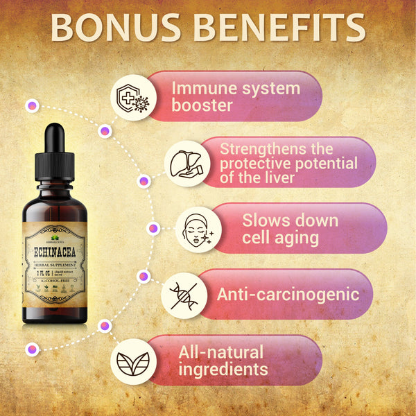 Echinacea Supplement - Organic Root Extract Liquid Drops - Antioxidant Rich Formula for Immune Function Support 2oz