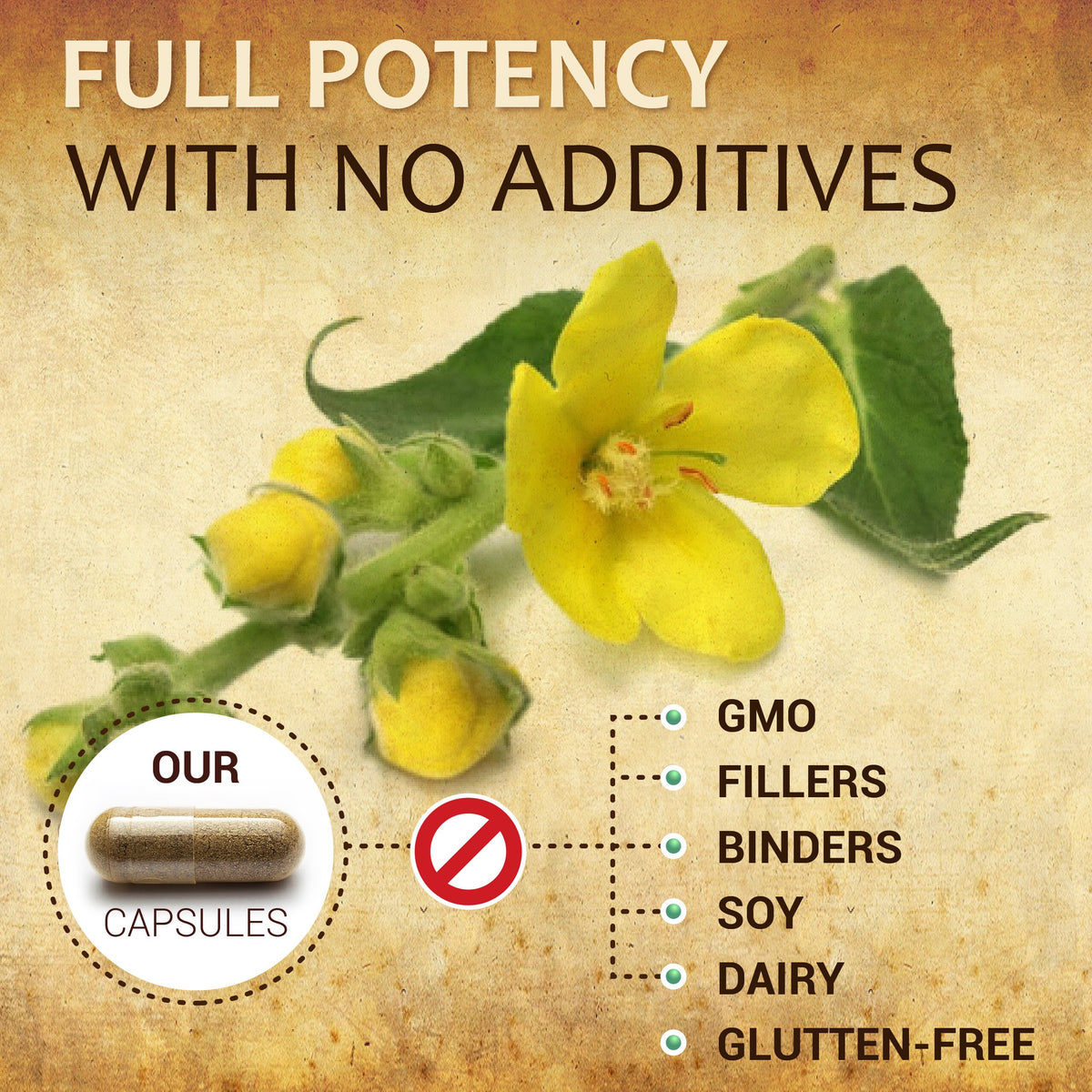 Mullein Leaf 100 Capsules - Organic Verbascum Thapsus Liquid Supplement - Herbal Tincture Promoting Lung, Respiratory & Digestive Wellness