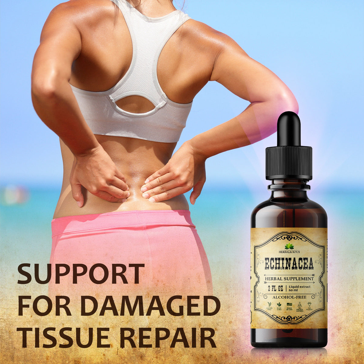 Echinacea Supplement - Organic Root Extract Liquid Drops - Antioxidant Rich Formula for Immune Function Support 2oz