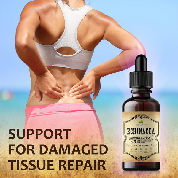 Echinacea Extract 4oz Liquid Drops - Antioxidant Rich Formula for Immune Function Support - Non-GMO, Alcohol-Free & Gluten-Free