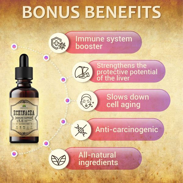 Echinacea Extract 4oz Liquid Drops - Antioxidant Rich Formula for Immune Function Support - Non-GMO, Alcohol-Free & Gluten-Free